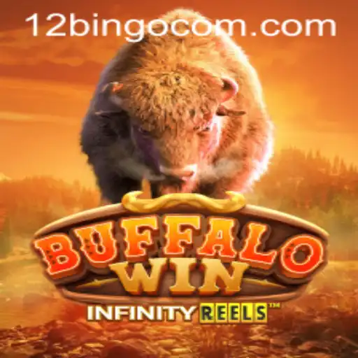 BuffaloWin: Redefining the Bingo Gaming Experience with 12bingo
